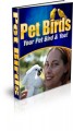 Pet Birds Plr Ebook