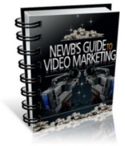 Newbies Guide To Video Marketing Mrr Ebook