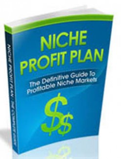 Niche Profit Plan Personal Use Ebook