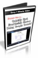 Quickly Spot Profitable Niches Using Google Trends PLR Video