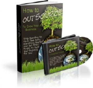 How To Outsource To Grow Your Business Plr Ebook With Audio
