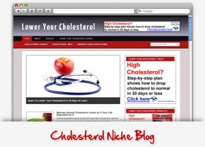 Cholesterol Niche WordPress Theme Personal Use Template