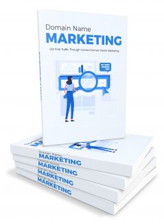Domain Name Marketing MRR Ebook
