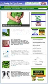Leaky Gut Syndrome Niche Blog Personal Use Template With Video