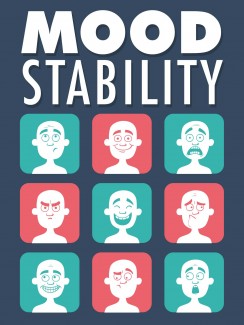 Mood Stability MRR Ebook