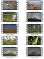 Nature Stock Videos Six - V2 MRR Video