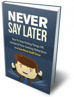 Never Say Later MRR Ebook