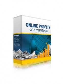 Online Profits Guaranteed Personal Use Video