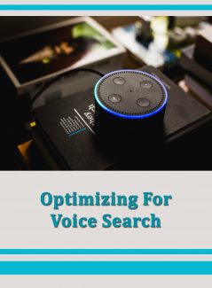 Optimizing For Voice Search PLR Ebook