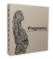 Pregnancy Niche Website Bundle Personal Use Template 