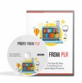 Profit From Plr Upgrade PLR Video With Audio