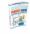 Searching For The Perfect Niche Resale Rights Ebook