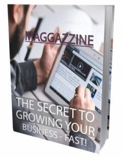 The Secret To Growing Your Business Fast PLR Ebook