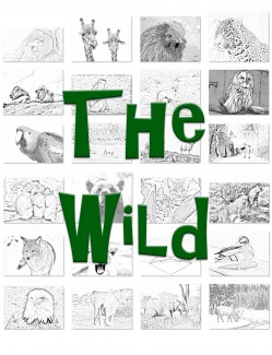The Wild PLR Ebook