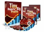Tiny Reports Big Profits Personal Use Video With Audio