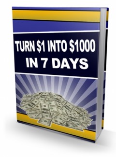 Turn 1 Into 1000 In 7 Days PLR Ebook