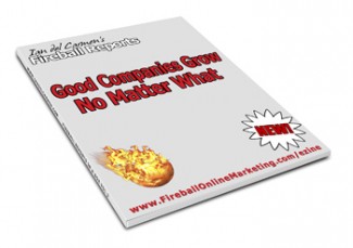 Good Companies Grow No Matter What Resale Rights Ebook