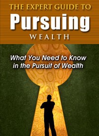 The Expert Guide To Pursuing Wealth PLR Ebook