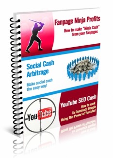 3 Rr Reports Resale Rights Ebook