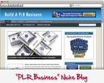 Plr Business Blog Personal Use Template With Video