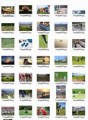 Sports And Recreation Stock Images Resale Rights Graphic 