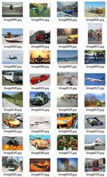 Transportation Animal Stock Images Resale Rights Graphic