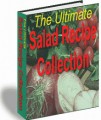 The Ultimate Salad Recipe Collection MRR Ebook