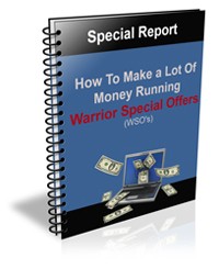 How To Make A Lot Of Money Running Wso’s PLR Ebook