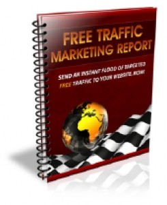 Free Traffic Marketing Plr Ebook