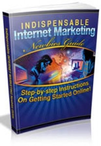 Indispensable Internet Marketing Newbies Guide Mrr Ebook