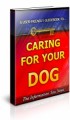 Caring For Your Dog Plr Ebook