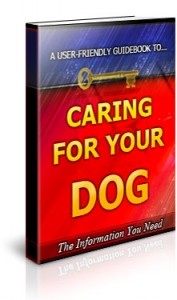 Caring For Your Dog Plr Ebook