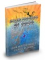 Healing Properties Of Tai Chi Mrr Ebook