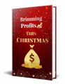 Brimming Profits This Christmas PLR Ebook