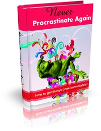 Never Procrastinate Again Give Away Rights Ebook