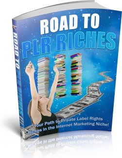 Road To Plr Riches PLR Ebook