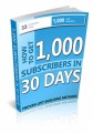 1,000 Subscribers In 30 Days MRR Ebook