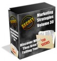 Secret Marketing Strategies PLR Template 