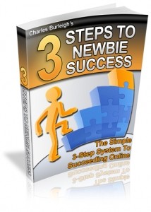 3 Steps To Newbies Success Plr Ebook