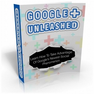 Google Plus Unleashed Personal Use Ebook