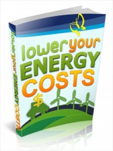 Lower Your Energy Costs Plr Ebook