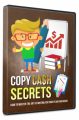 Copy Cash Secrets MRR Video With Audio