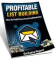 Profitable List Building Personal Use Ebook