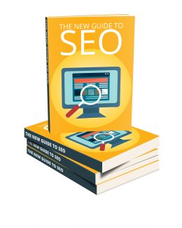 The New Guide To Seo MRR Ebook