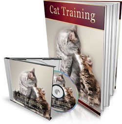 Cat Training Mrr Ebook With Audio