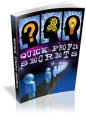 Quick Profit Secrets Plr Ebook
