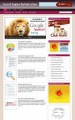 Search Engine Optimization Niche Blog Personal Use Template