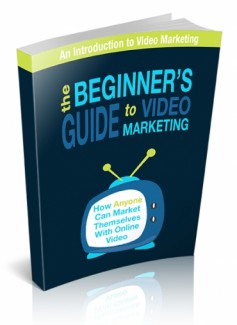 The Beginner’s Guide To Video Marketing Personal Use Ebook