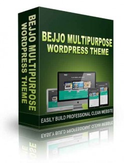 Bejjo Multipurpose WordPress Theme Personal Use Template With Video