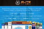 Elite Plr Blog Personal Use Template